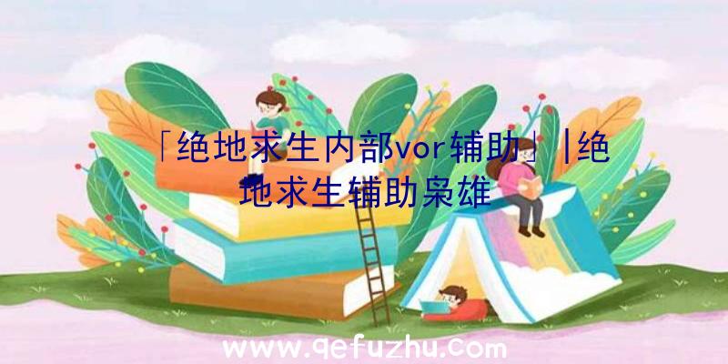 「绝地求生内部vor辅助」|绝地求生辅助枭雄